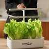 „GreenBlue“ išmanioji kambarinių augalų auginimo sistema, išmanusis vazonas, 4 l talpa, 12 augalų, pilno spektro LED, GB133