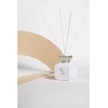 Kvapas namams ODORO Elements DAYDREAM, 100 ml