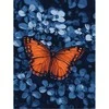 Art Active Ideyka Painting by numbers 30x40cm KHO6733 Light in the darkness butterfly AP0072