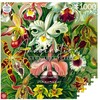 Dėlionė Cenega Imagination Puzzle: Ernst Haeckel Orchid 1000 elements