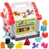 Hola Interactive House sorter animal blocks ZA3518