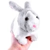 Jokomisiada Interaktyvus gyvūnų traškus Hopping Bunny + morka ZA2685