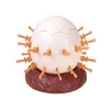 Jokomisiada Linksmas žaidimas „Crack the Egg Pop-Up Chicken