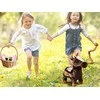 Jokomisiada Interactive COWBOY HORSE walks, neighs, and dances. Country ihaaa! ZA5772