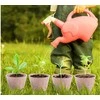 Jokomisiada Little Gardener BIO Set – Greenhouse, Seeds, and Pots for Growing Plants ZA5776