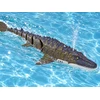Jokomisiada Remote-Controlled Mosasaurus Aquatic Dinosaur Swims and Sprays Vanduo 40 cm RC0801