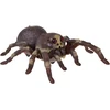 Jokomisiada Remote-controlled TARANTULA spider - steam function RC0784