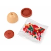 Jokomisiada Technical blocks Series: Flowers in a mini pot Raudonas ROSE 99pcs ZA6289 B