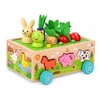 Jokomisiada Wooden SORTER 3-in-1 trolley, catching bugs, putting animals in ZA6291
