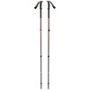 Black Diamond Juodas Diamond Trekking poles Juodas Diamond Trail Trekking Poles Iron Raudona