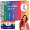 Holi Color Powder Set 6x100g Holi Cow 27335