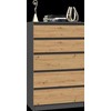 Top E Shop Dedešvos komoda M5