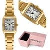 Laikrodis damski PERFECT S399-05 + BOX