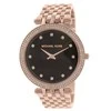 Laikrodis moterims MICHAEL KORS MK3217 Darci + BOX