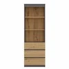 „Top E Shop“ „Topeshop RS-60 ANT/ART KPL“ biuro knygų lentyna