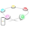 Lepro E1-30 Outdoor Light