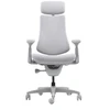 LiberNovo Omni Dynamic 45 cm Ergonomic Chair (Gray)