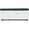 Liene Amber M100 4×6″ nešiojamas nuotraukų spausdintuvas
