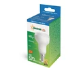Lemputė SPECTRUM LED, E14 R50 6W 860 FR 485LM