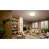 Lubinis šviestuvas Šviestuvas lubų Philips, 32 W, LED, 2200 - 6500 °K