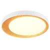 Lubinis šviestuvas Ceiling light Reality. LED. 24W. 2700-6500K. 2500lm. Ø45