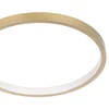 Lubinis šviestuvas Šviestuvas lubinis Eglo GAFARES, 15 W, LED, 900423