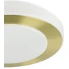 Lubinis šviestuvas Šviestuvas plafonas Eglo CARPI, 10.8 W, LED, 900369