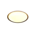 Lubinis šviestuvas REALITY Trio Ceiling Light. 20W. 3000K. 2600lm. Ø38