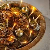 Lumineo Durawise string lights. 497171. 14.3 m. warm baltas. 192 LED
