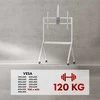 Laikiklis „Maclean“ televizoriaus stovas / vežimėlis, lentyna kamerai, su ratukais, 55–100", maks. apkrova 120 kg / 10 kg lentynos, maks. VESA 900x600, baltas, MC-114 W