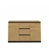 Top E Shop Topeshop 2D3S ANT/ART BA KPL komoda