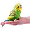 Beppe Mascot Žalias Budgerigar 13cm 13847