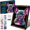 Mattel Create a picture from sequins Pop art Dog French Bulldog Diamond embroidery ZA6712