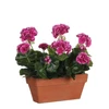 MICA Dirbtinė gėlė vazone, pelargonija rožinė sp., 40 cm x 29 cm