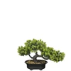 MICA BONSAI ARTIFICIAL IN A POT 33X21CM