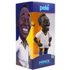 MINIX PELE - ESCAPE TO VICTORY