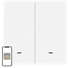 MOES ZT-B-EU2 ZigBee 2-Button Scene Switch
