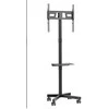 Laikiklis Montis Mobilny uchwyt do TV - MT191 ATLAS 152.4 cm (60")