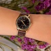Moteriškas laikrodis CASIO LTP-V005GL-1B2 (zd582l) + BOX
