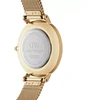 Moteriškas laikrodis DANIEL WELLINGTON DW00100345 - PETITE EVERGOLD 36mm (zw500f)