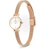 Moteriškas laikrodis DANIEL WELLINGTON Petite Mini Rose Gold Stainless Steel 19mm DW00100744 + BOX (zw523c)