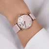 Moteriškas laikrodis EMPORIO ARMANI AR1958- Classic + BOX