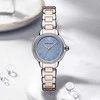 Moteriškas laikrodis EMPORIO ARMANI MIA AR11597 (zi545e)