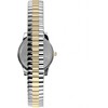 Moteriškas laikrodis TIMEX Essex T2N068 + BOX