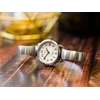 Moteriškas laikrodis TIMEX TWG025200 + BOX