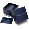 Moteriškas laikrodis TOMMY HILFIGER 1782716 Monica (zf605e) + BOX