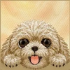 NIMMY dėklas BIG EYED LYING TEDDY POODLE, suderinamas su MagSafe, skirtas IPHONE 18 Pro Max/17 Pro Max, ruda