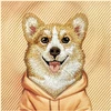 NIMMY dėklas GENTLE PETS SERIES DOG, suderinamas su MagSafe, skirtas IPHONE 18 Pro Max/17 Pro Max, oranžinis