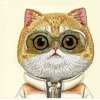 Nimmy Apple iPhone 15 Pro 6.1" dėklas telefonui haki spalvos Cool&Cute 2.0 Cat