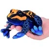 Beppe Plush toy Frog oranžinis and juodas 13cm colorful frog 14120